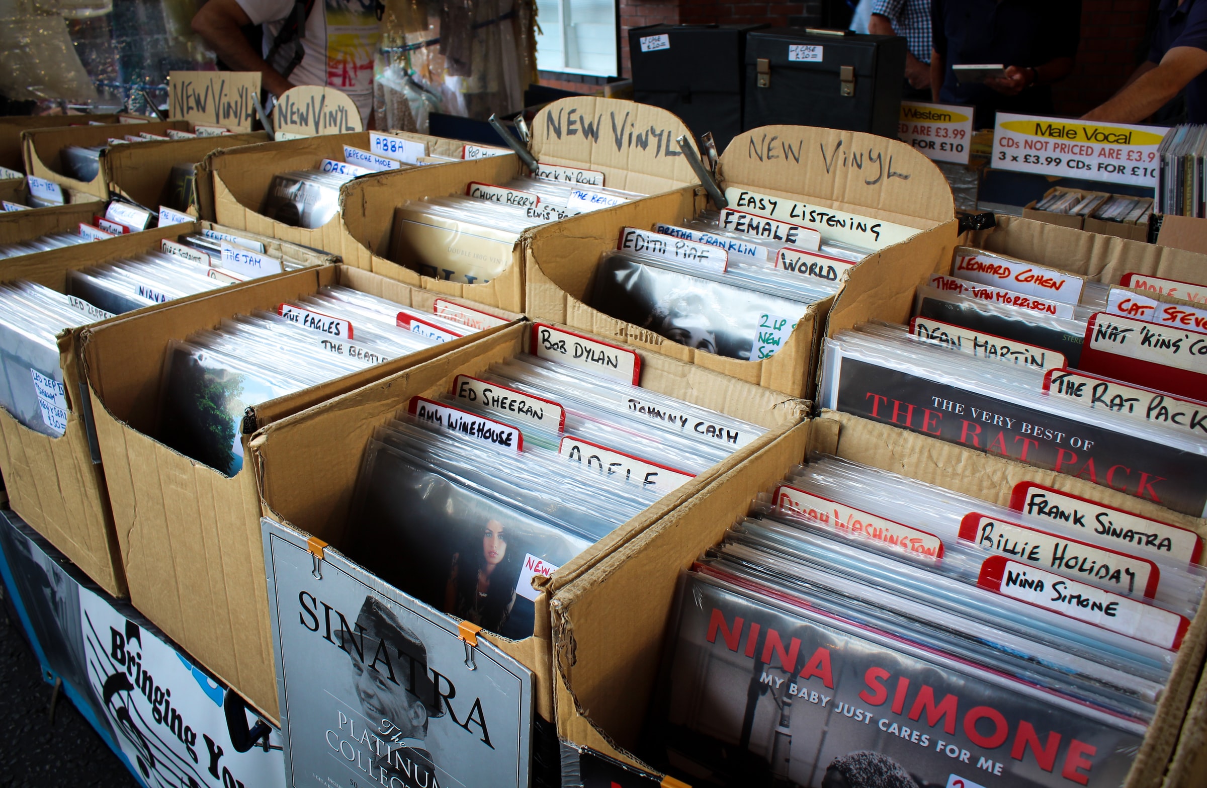 Rangement Vinyle avec Intercalaire pour une collection organisé